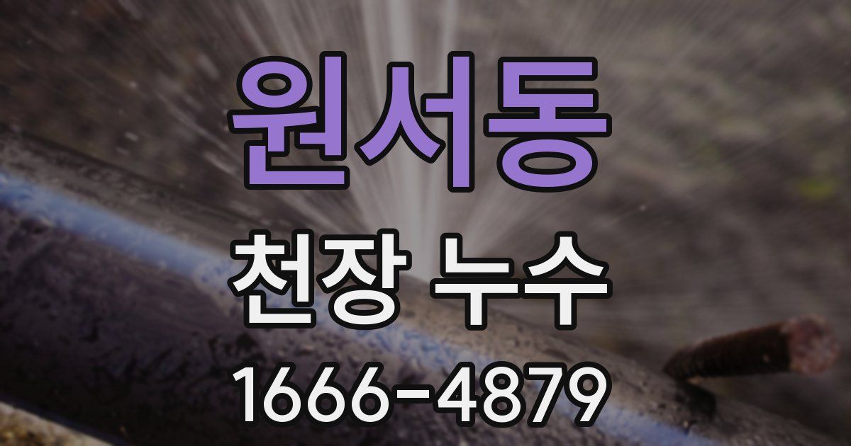 원서동 천장 누수