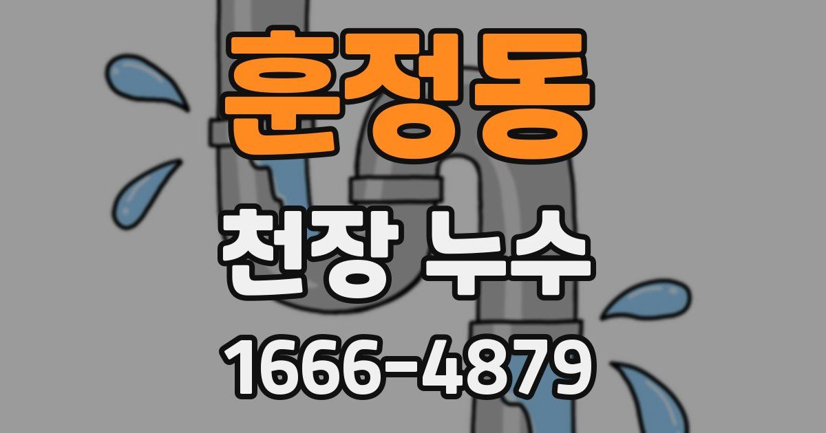 훈정동 천장 누수