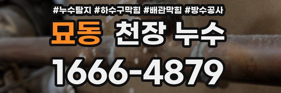 묘동 천장 누수