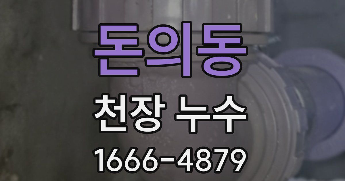 돈의동 천장 누수