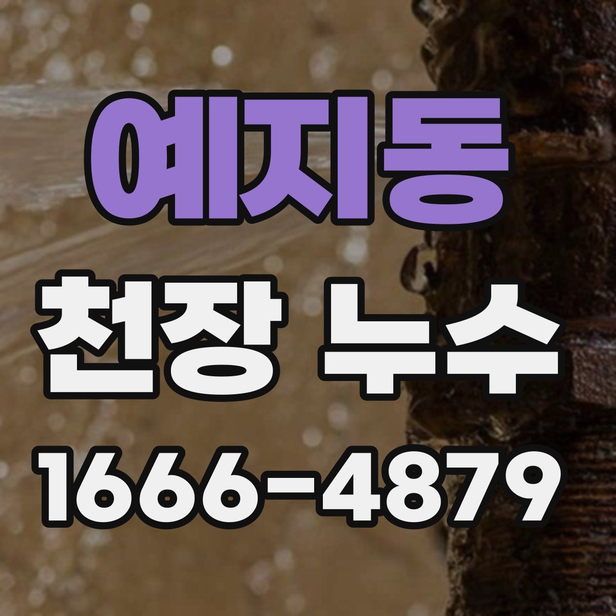 예지동 천장 누수
