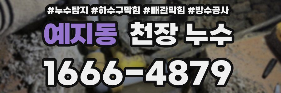 예지동 천장 누수