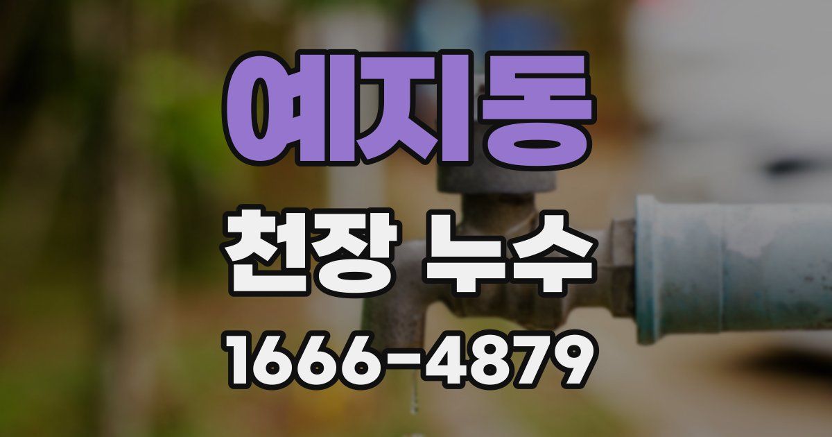 예지동 천장 누수
