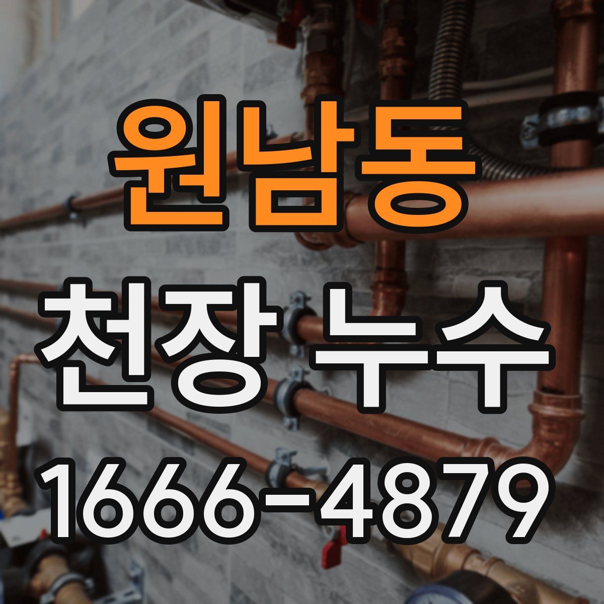 원남동 천장 누수