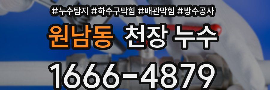 원남동 천장 누수