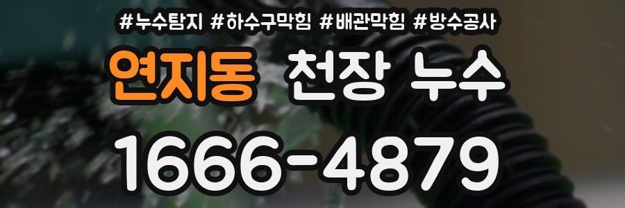 연지동 천장 누수