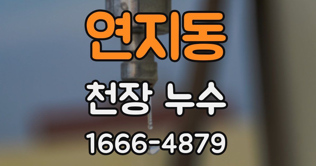 연지동 천장 누수