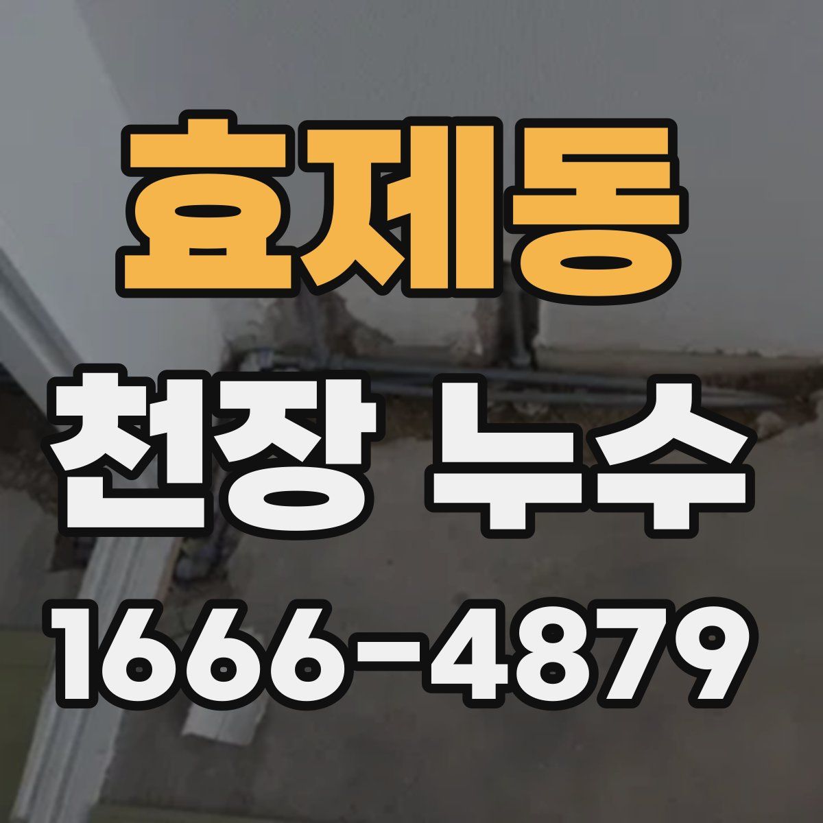 효제동 천장 누수