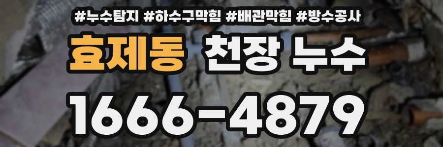 효제동 천장 누수