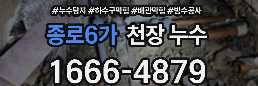 종로6가 천장 누수