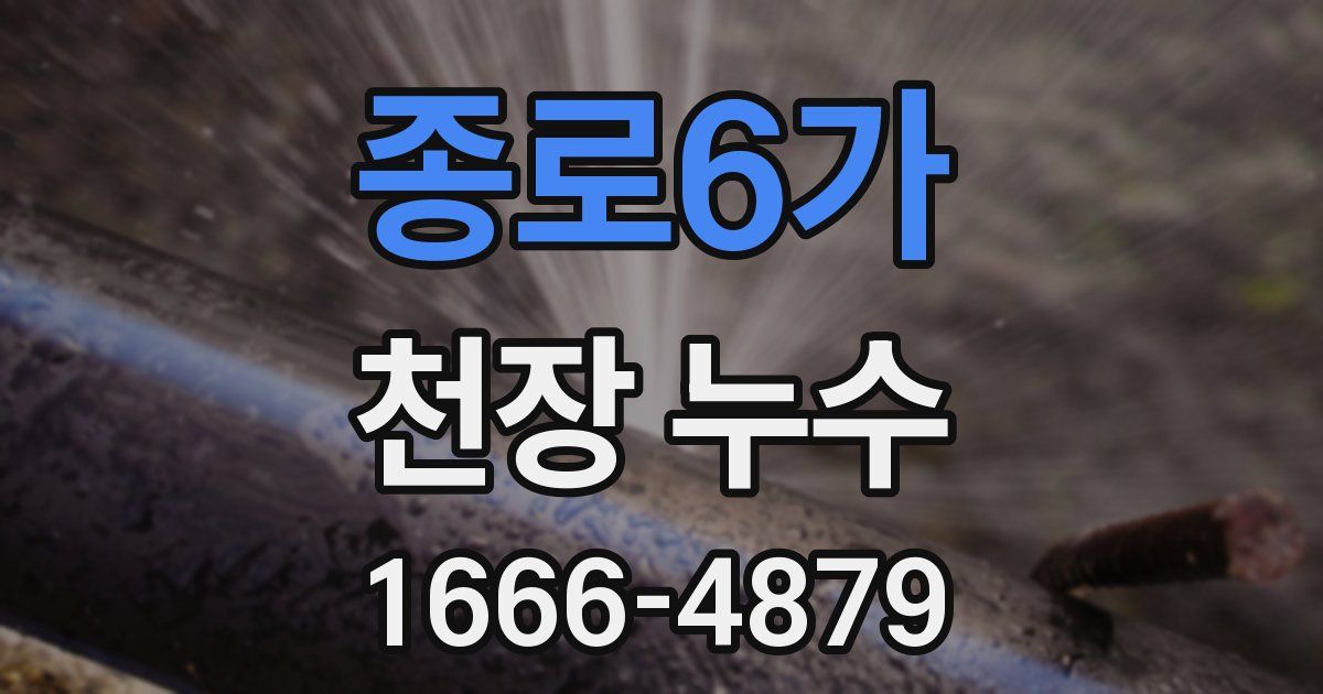 종로6가 천장 누수