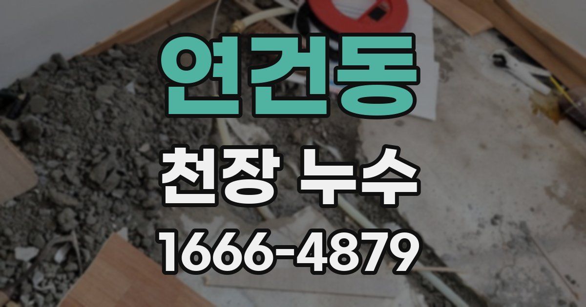 연건동 천장 누수