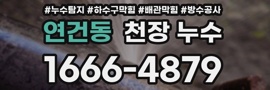 연건동 천장 누수
