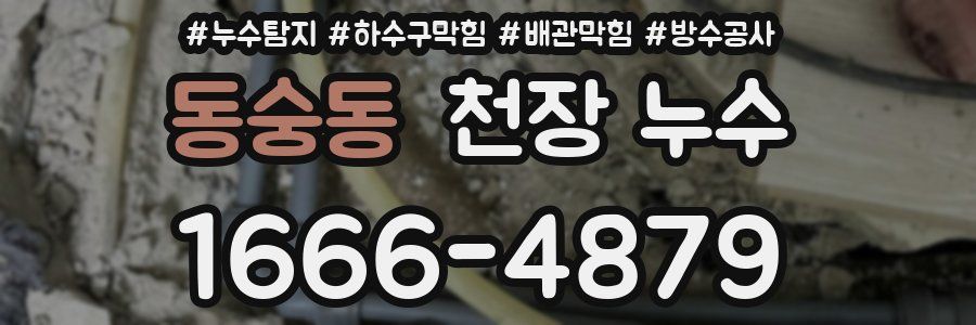 동숭동 천장 누수