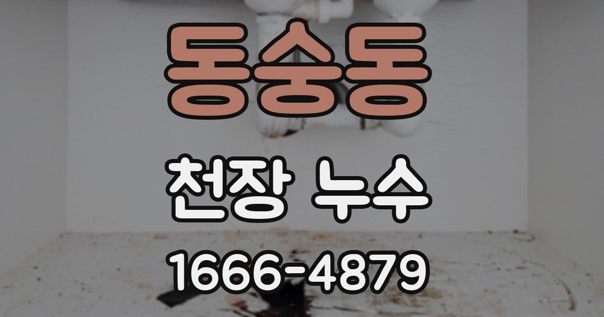 동숭동 천장 누수