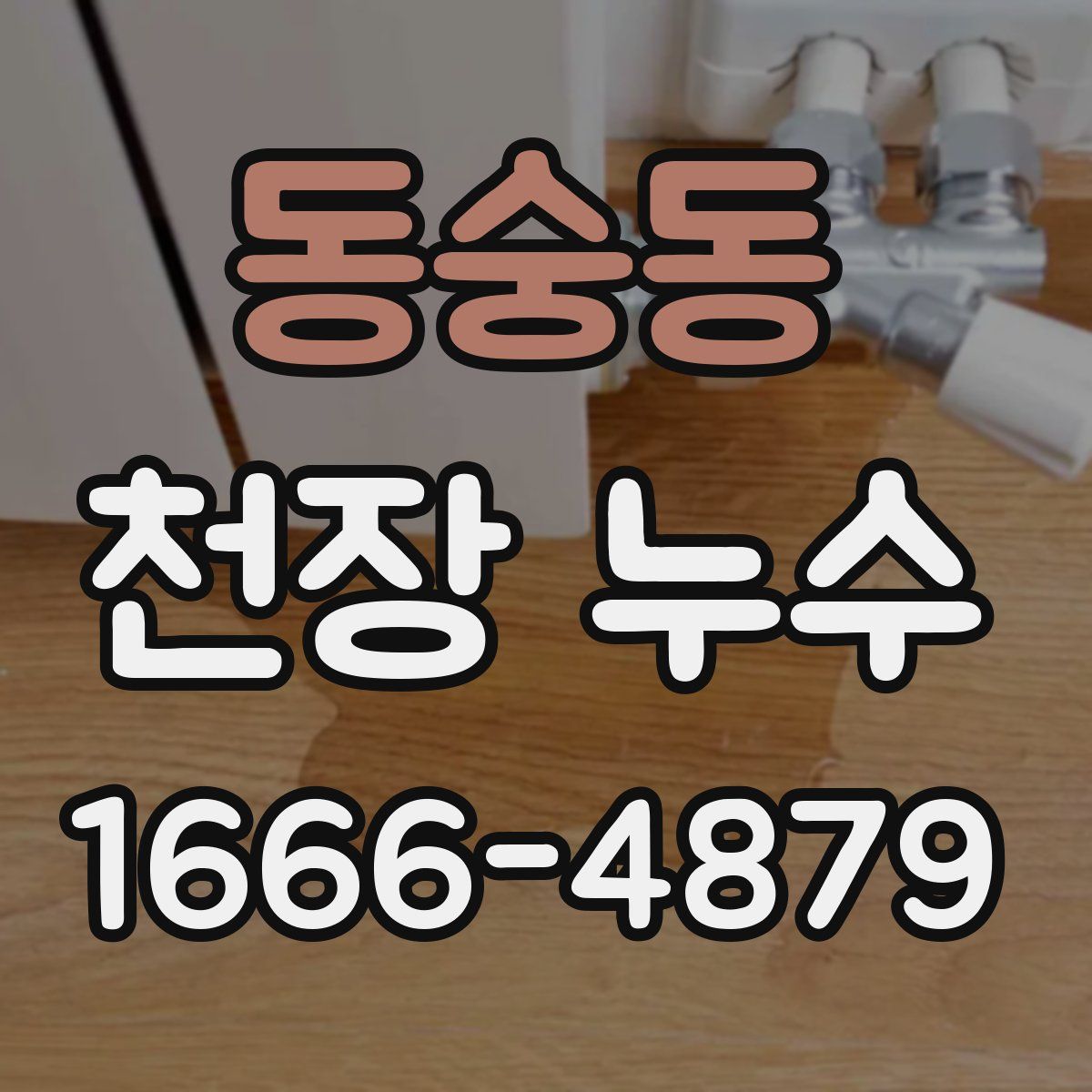 동숭동 천장 누수
