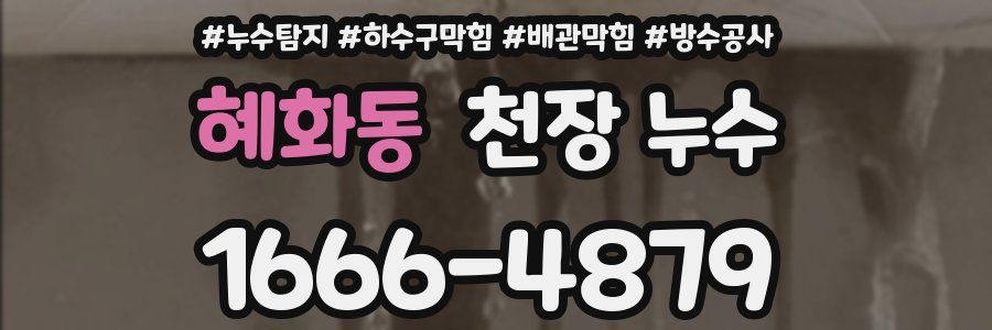 혜화동 천장 누수