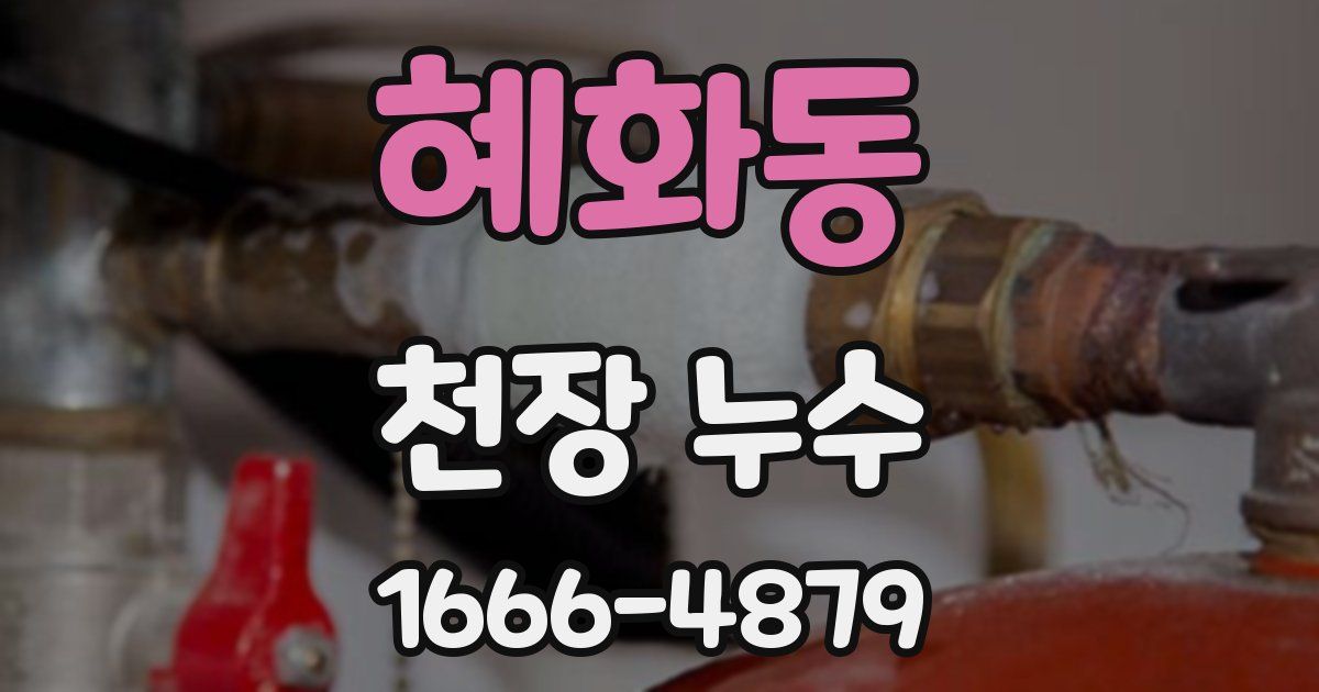 혜화동 천장 누수