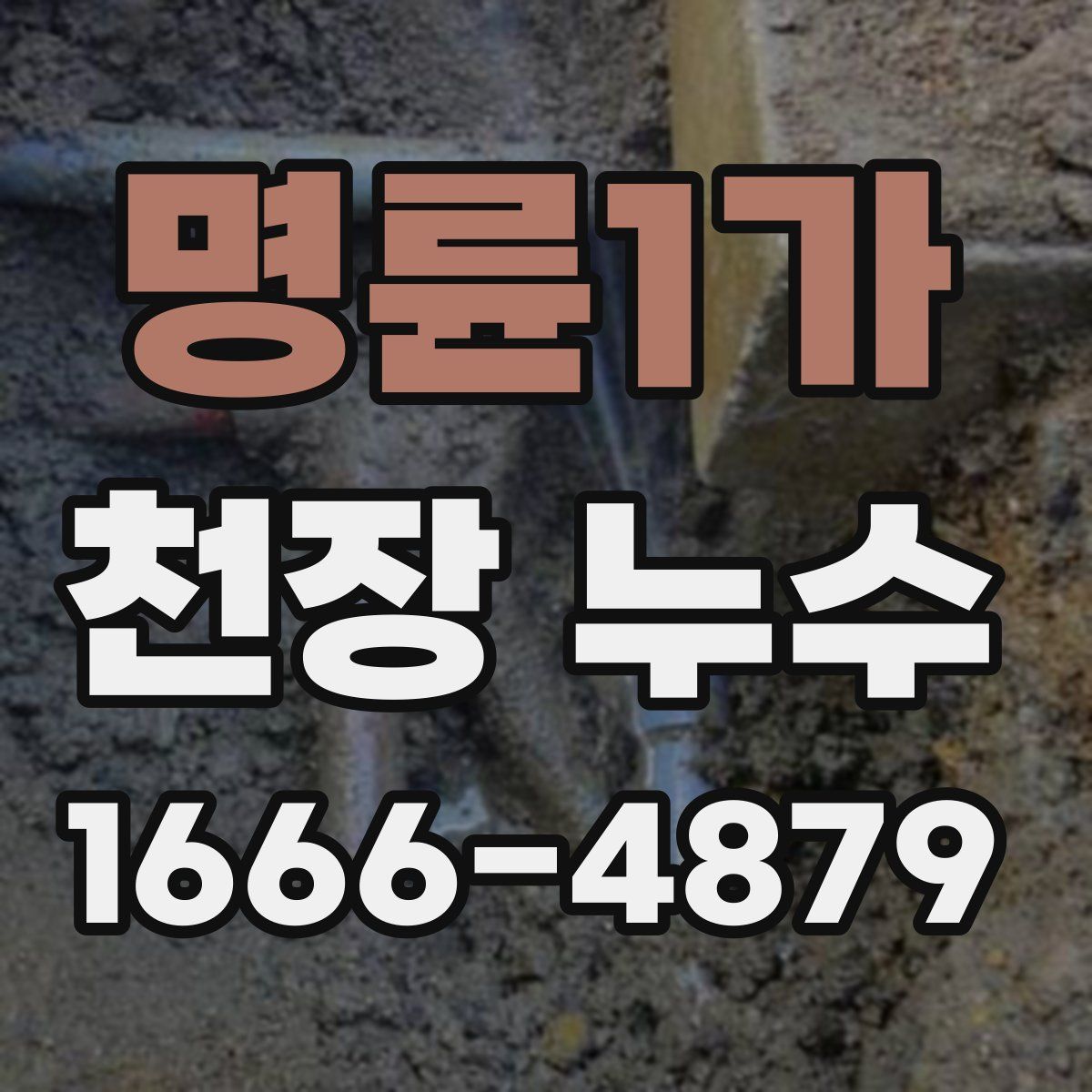 명륜1가 천장 누수