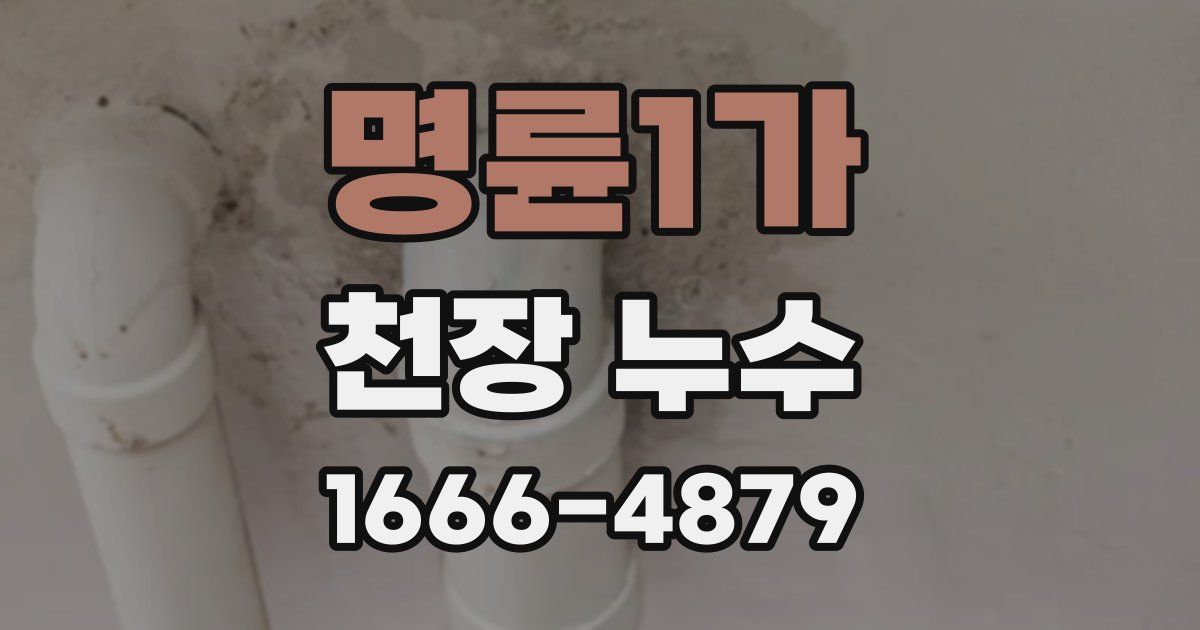 명륜1가 천장 누수