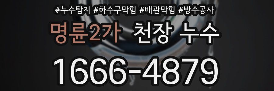 명륜2가 천장 누수