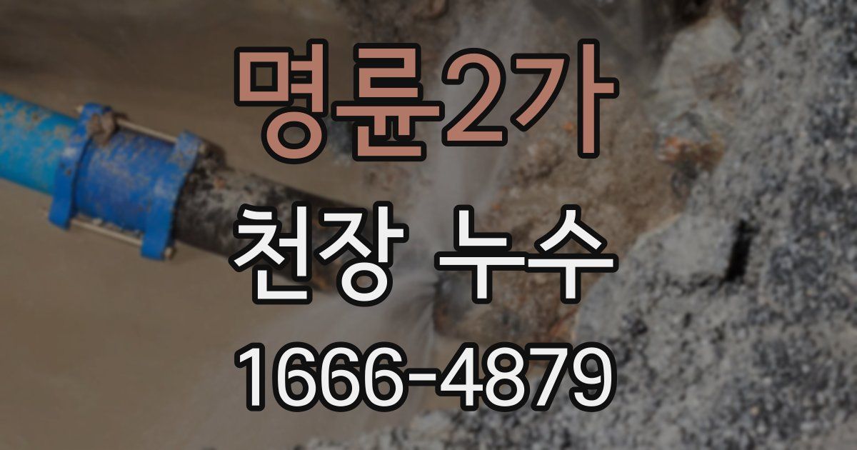 명륜2가 천장 누수