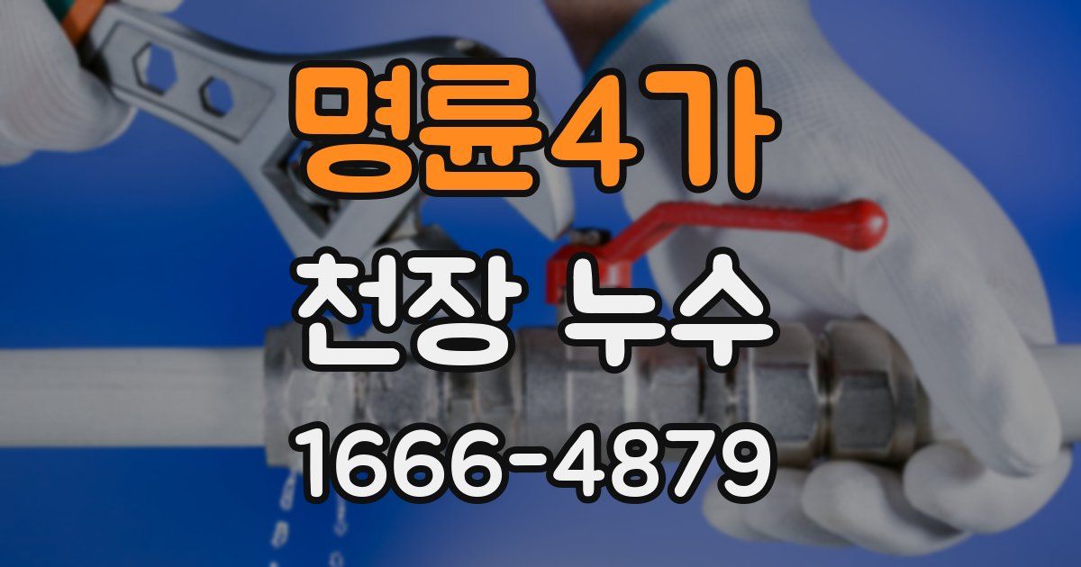 명륜4가 천장 누수
