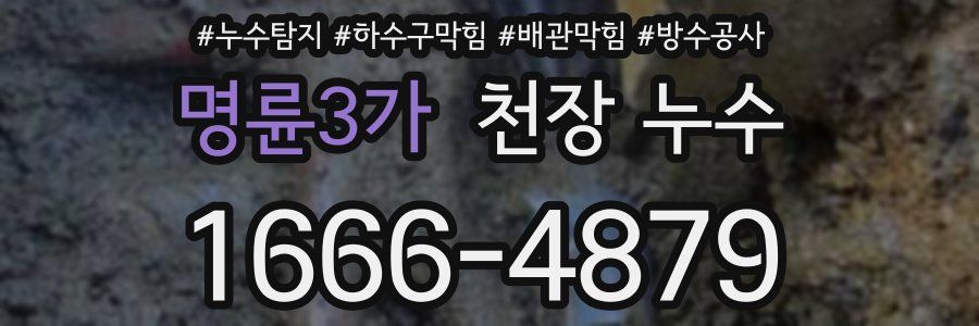 명륜3가 천장 누수