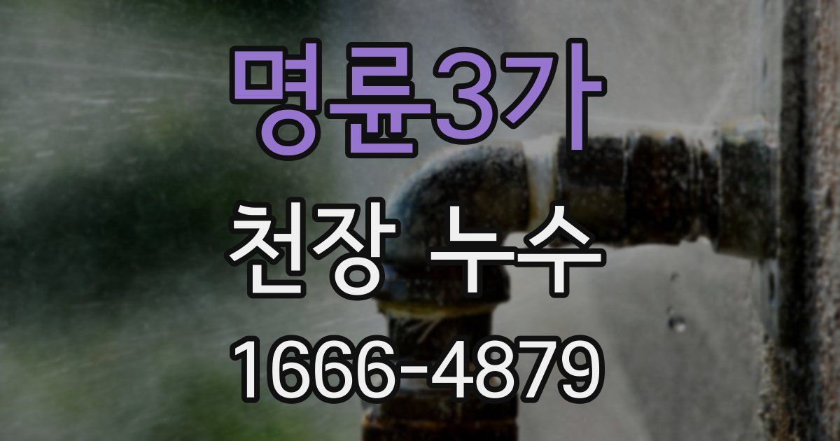 명륜3가 천장 누수