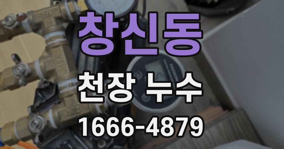 창신동 천장 누수