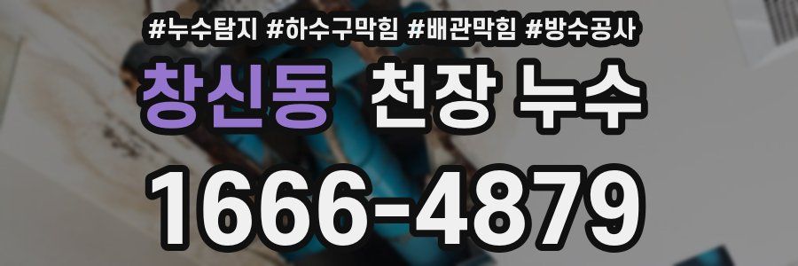 창신동 천장 누수