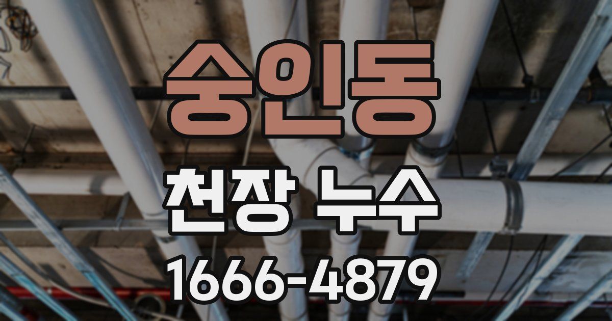 숭인동 천장 누수