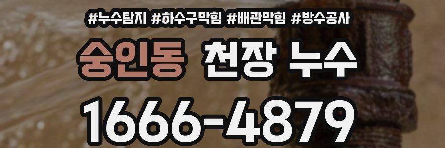 숭인동 천장 누수