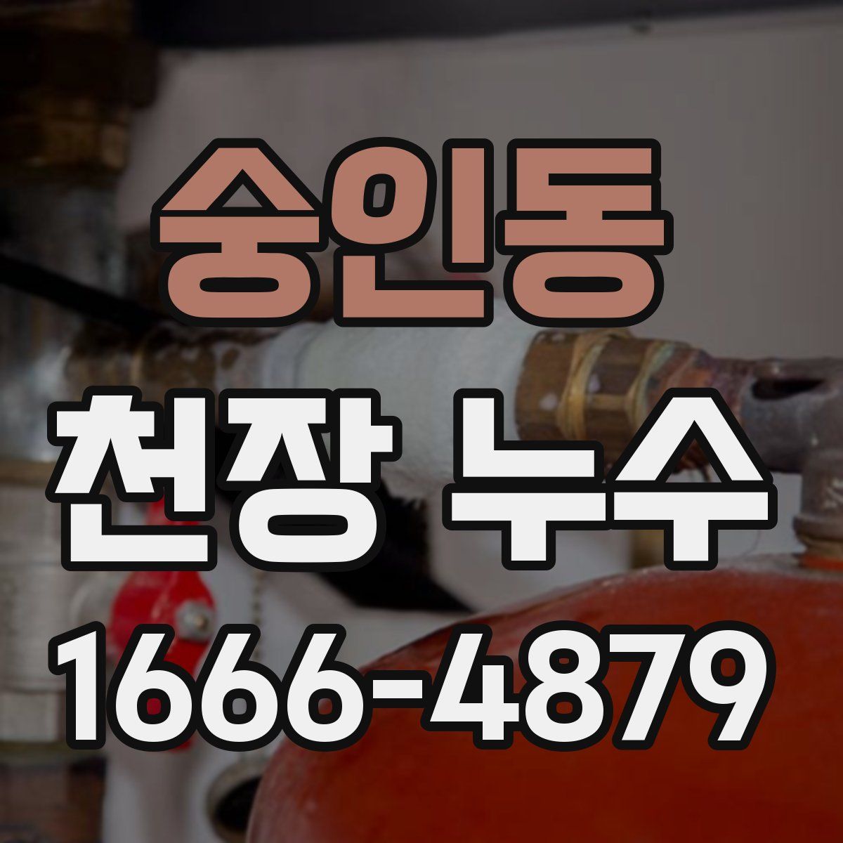숭인동 천장 누수
