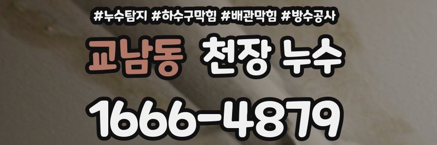 교남동 천장 누수