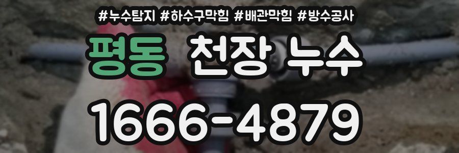 평동 천장 누수