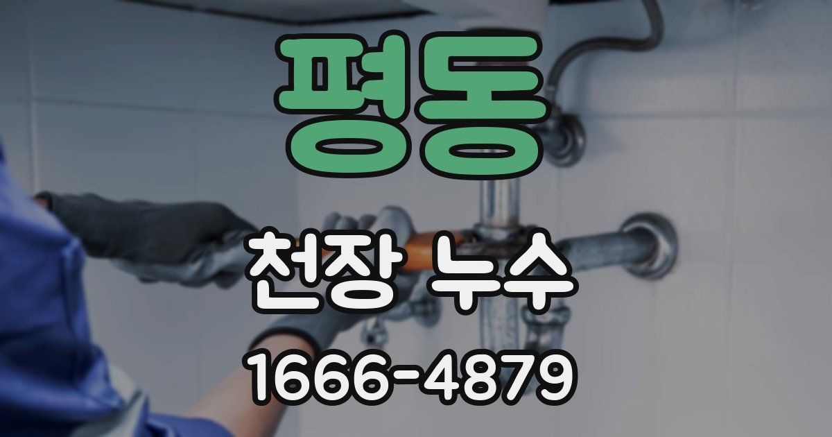 평동 천장 누수