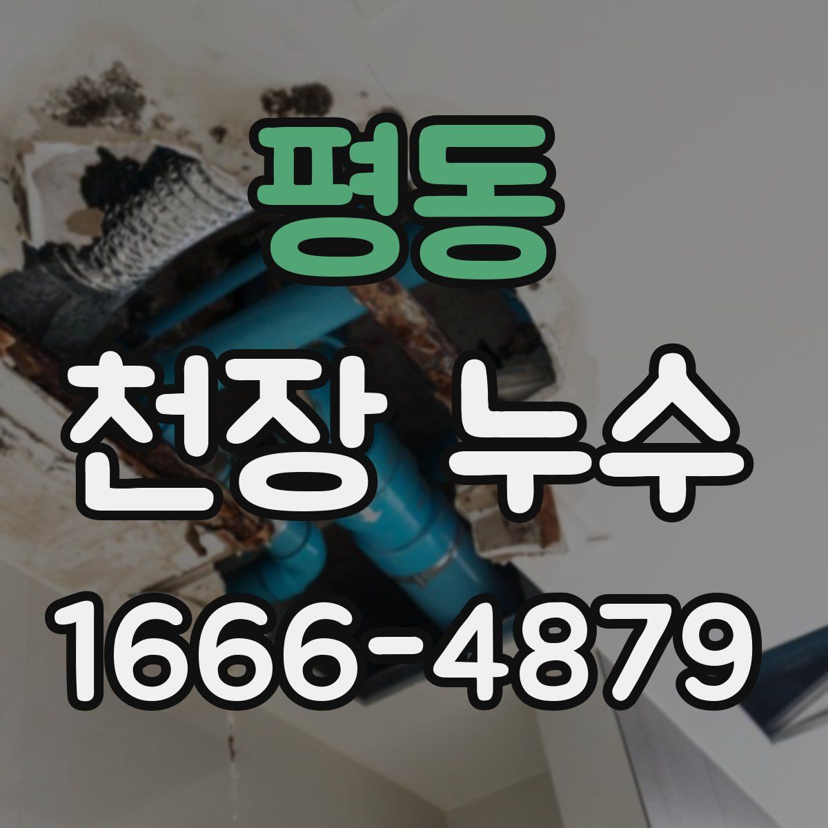 평동 천장 누수