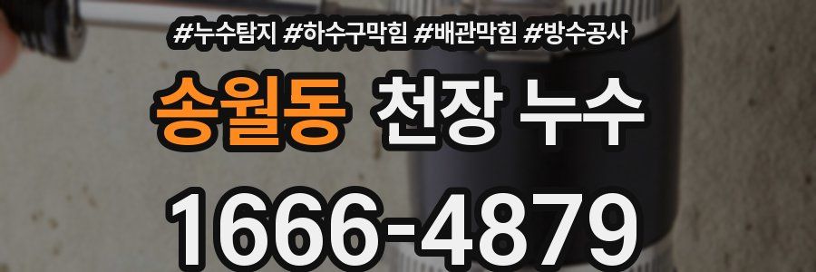 송월동 천장 누수