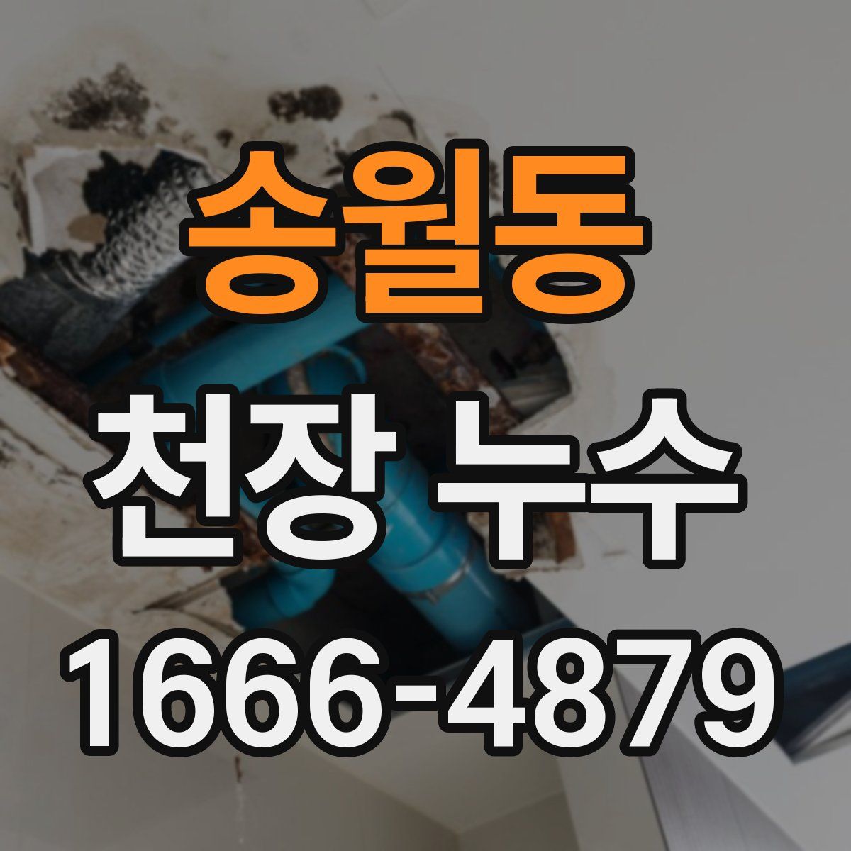 송월동 천장 누수