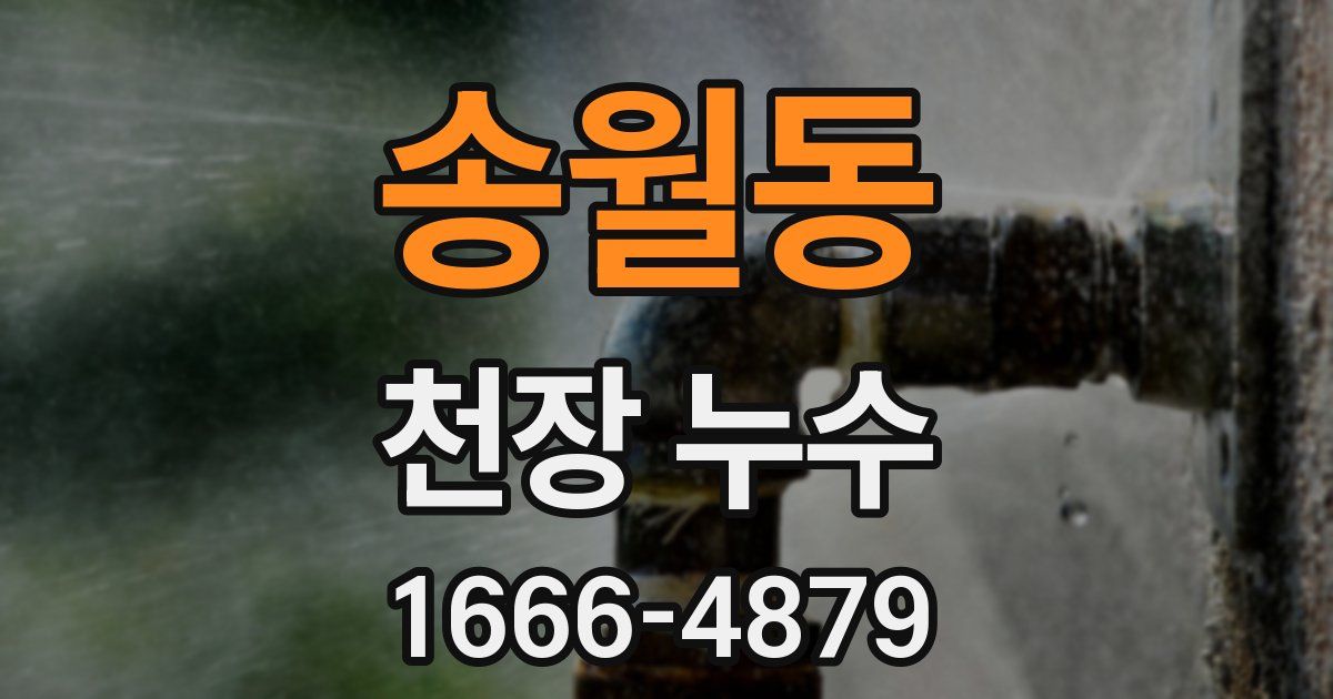 송월동 천장 누수
