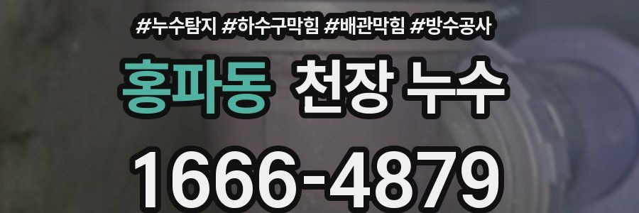 홍파동 천장 누수
