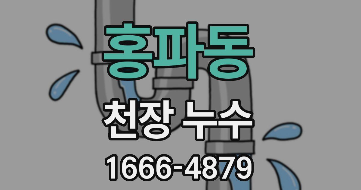 홍파동 천장 누수