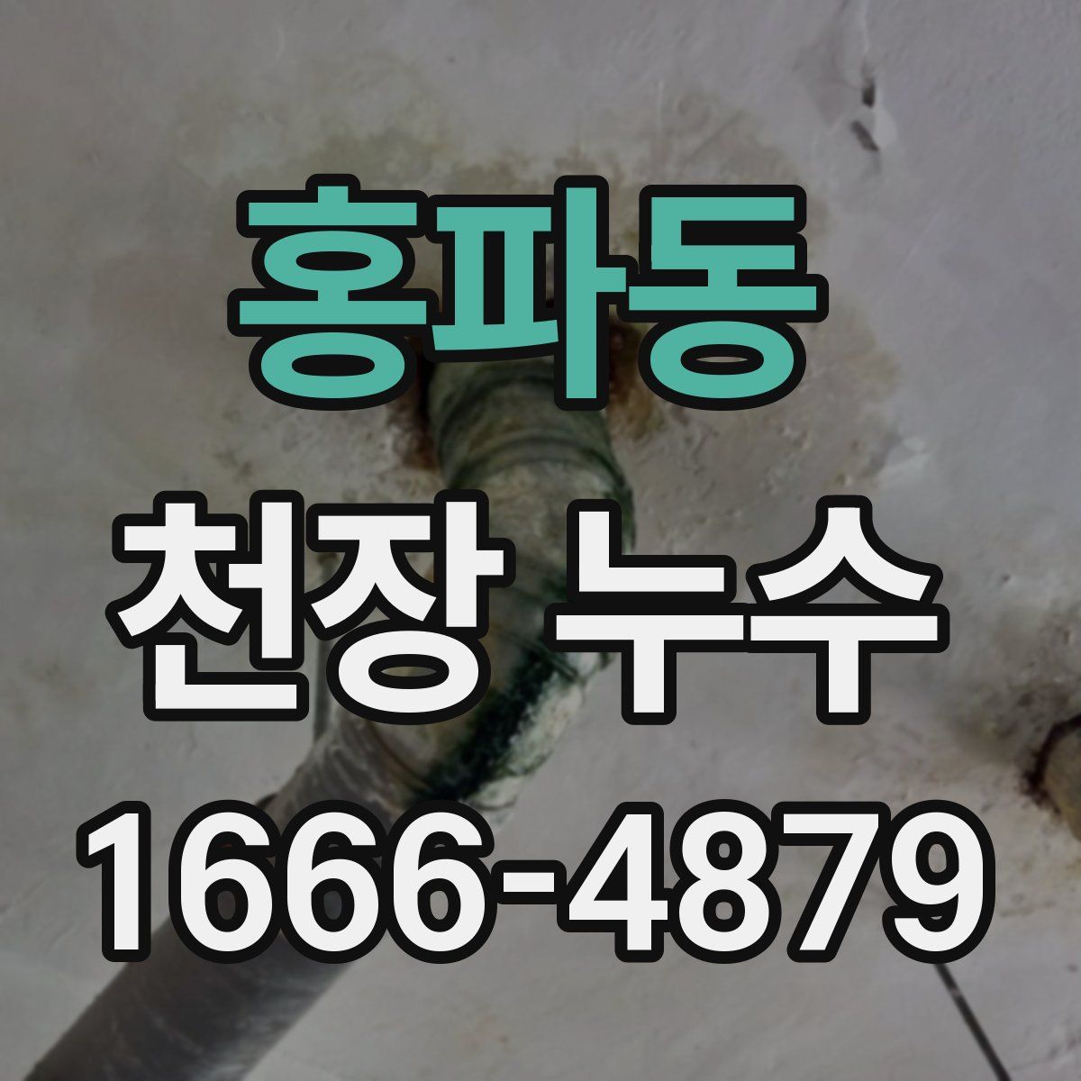 홍파동 천장 누수