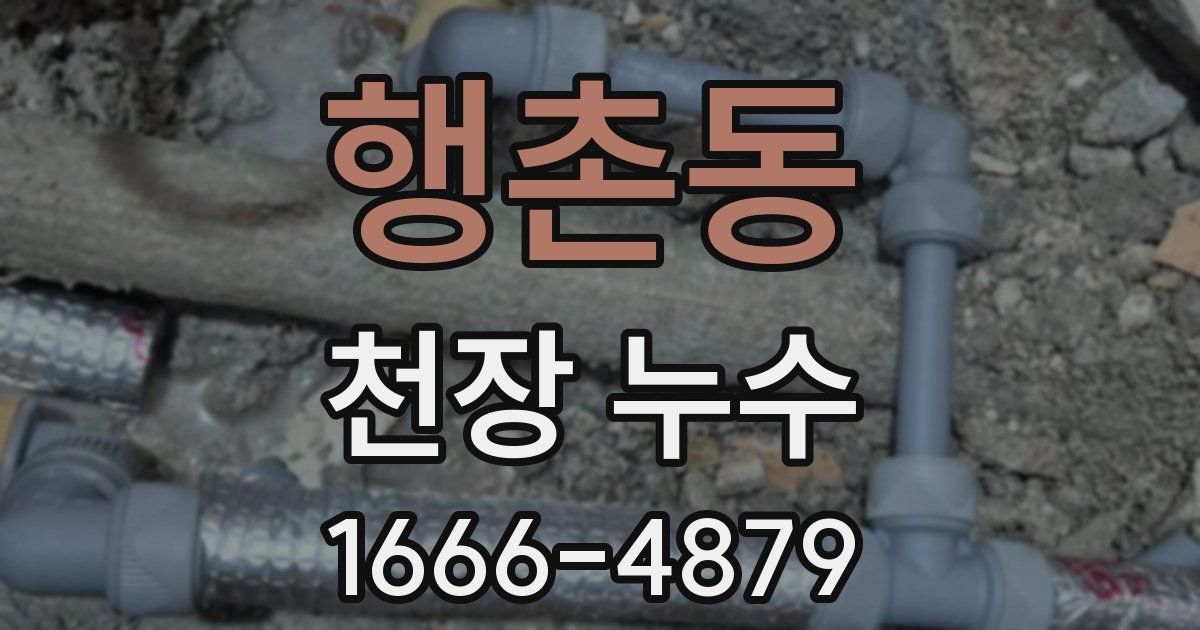 행촌동 천장 누수