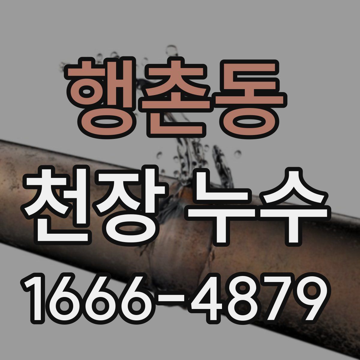 행촌동 천장 누수