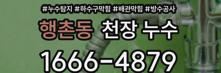 행촌동 천장 누수