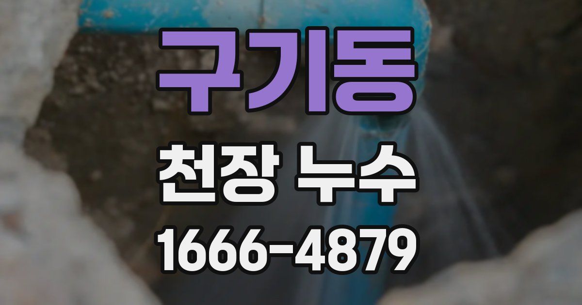 구기동 천장 누수