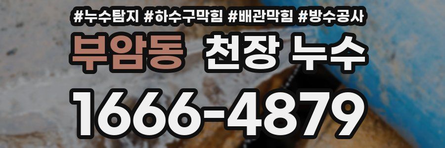 부암동 천장 누수