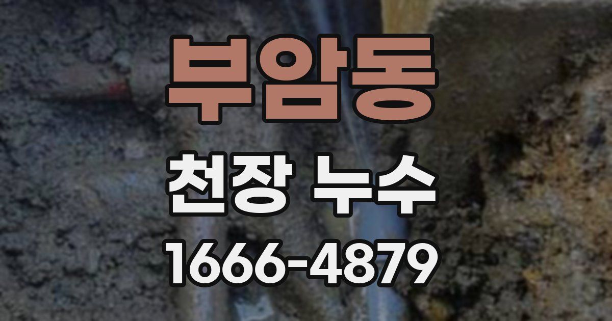 부암동 천장 누수